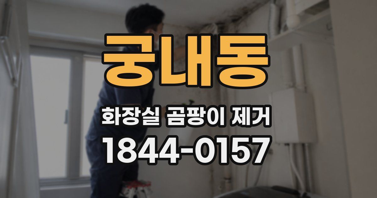 궁내동 화장실 곰팡이 제거