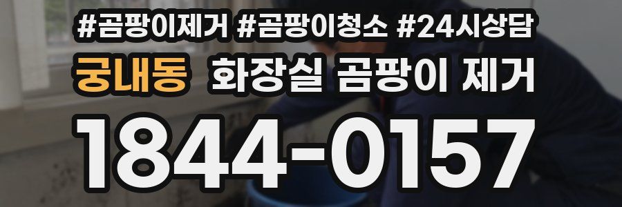 궁내동 화장실 곰팡이 제거
