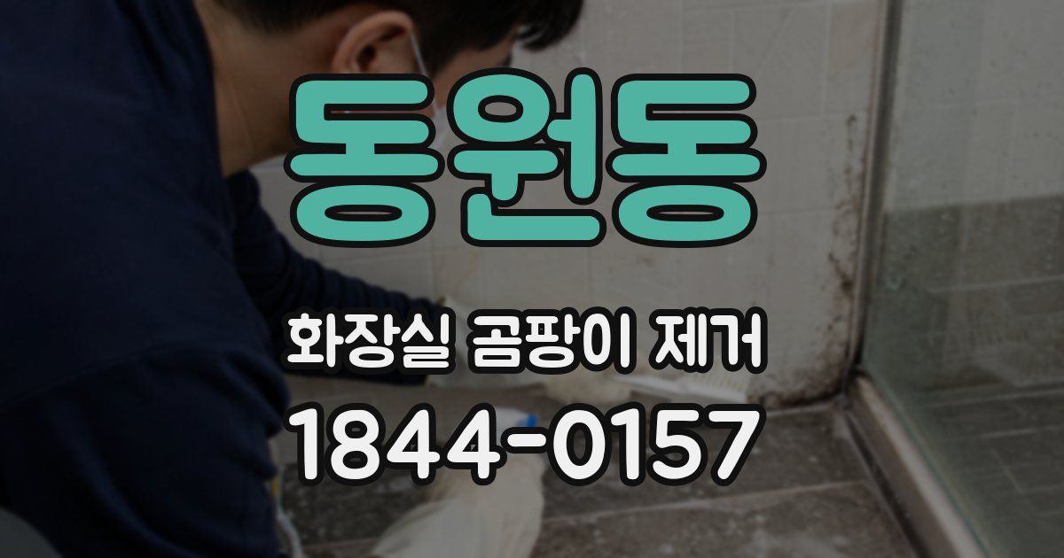 동원동 화장실 곰팡이 제거