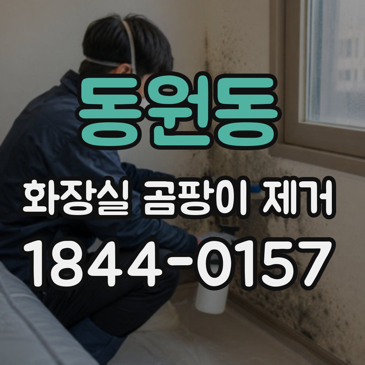 동원동 화장실 곰팡이 제거