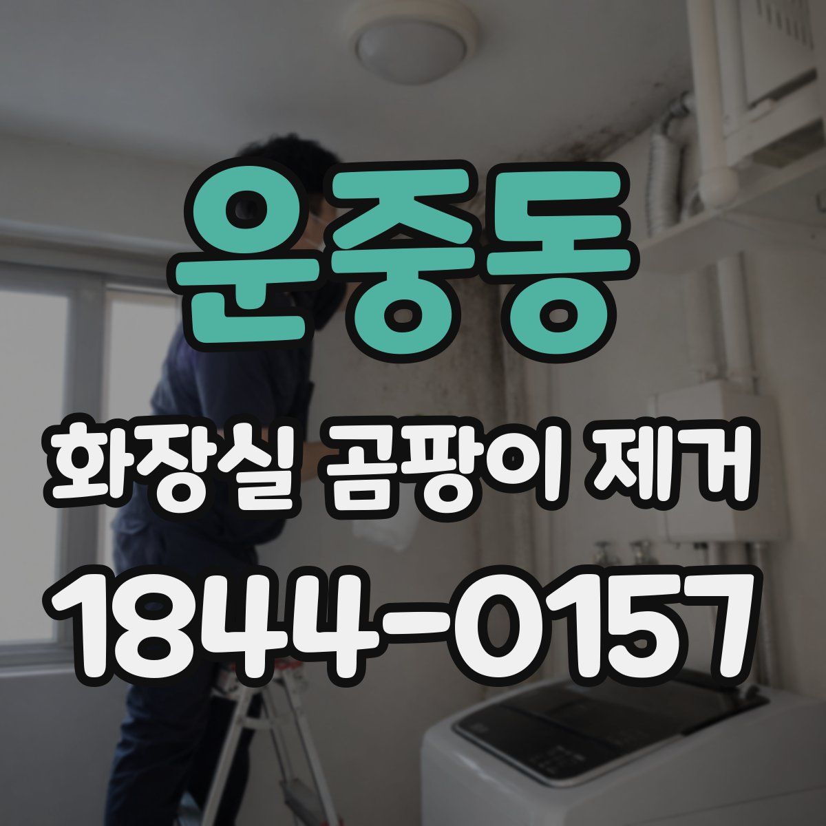 운중동 화장실 곰팡이 제거