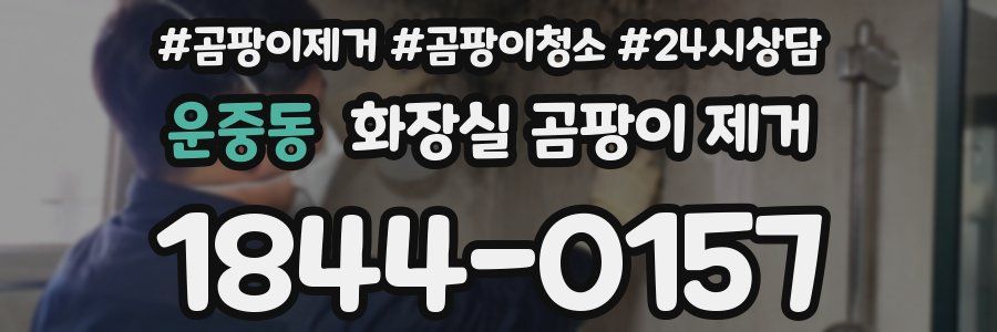 운중동 화장실 곰팡이 제거