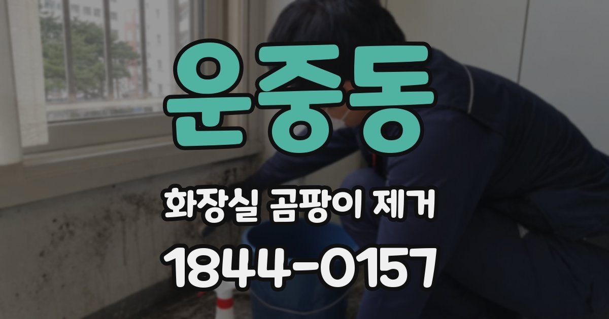 운중동 화장실 곰팡이 제거
