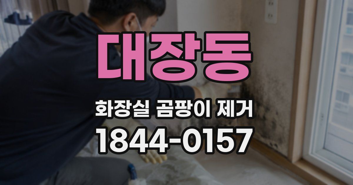 대장동 화장실 곰팡이 제거