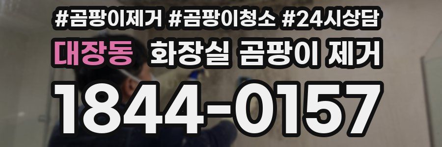대장동 화장실 곰팡이 제거