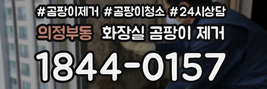 의정부동 화장실 곰팡이 제거