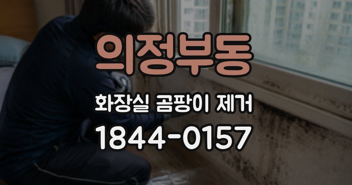 의정부동 화장실 곰팡이 제거