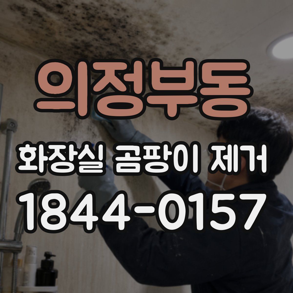 의정부동 화장실 곰팡이 제거