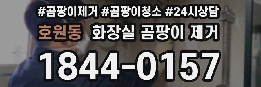 호원동 화장실 곰팡이 제거