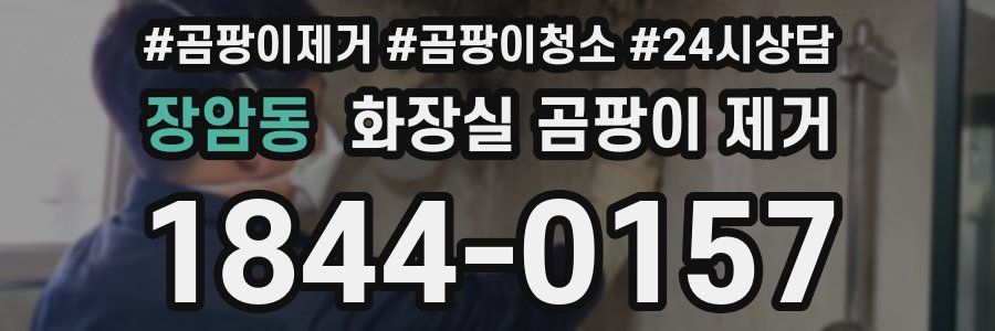 장암동 화장실 곰팡이 제거