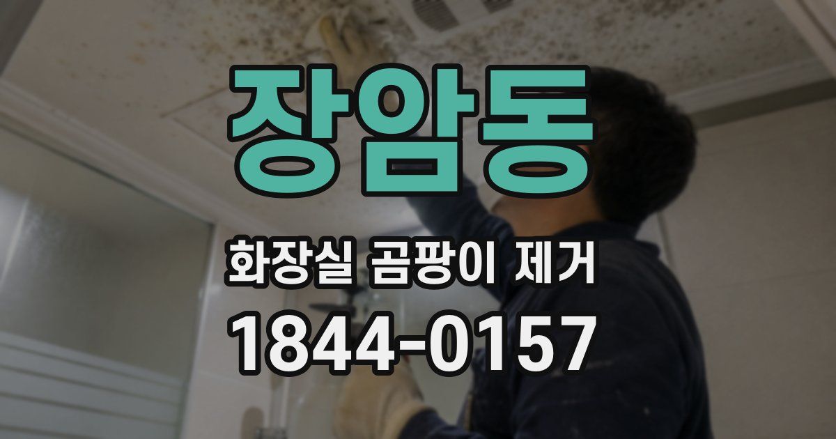 장암동 화장실 곰팡이 제거