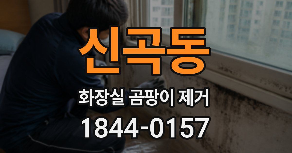 신곡동 화장실 곰팡이 제거