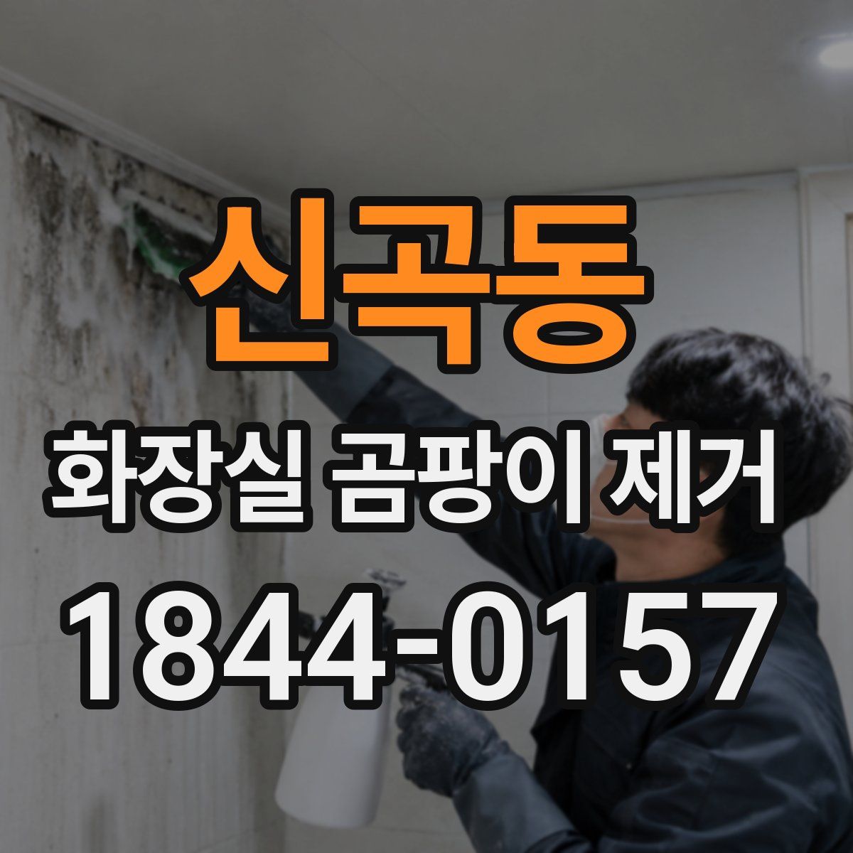 신곡동 화장실 곰팡이 제거