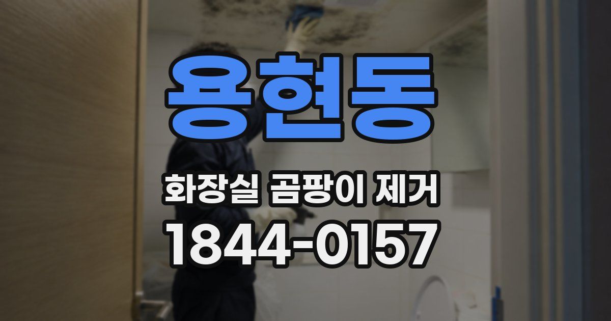 용현동 화장실 곰팡이 제거