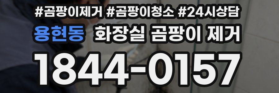 용현동 화장실 곰팡이 제거