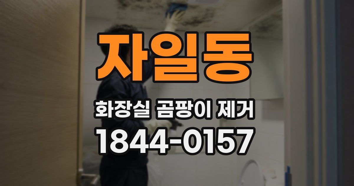 자일동 화장실 곰팡이 제거