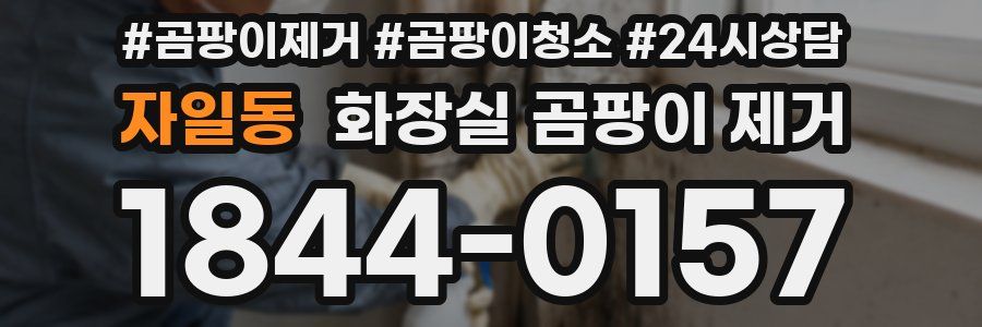 자일동 화장실 곰팡이 제거