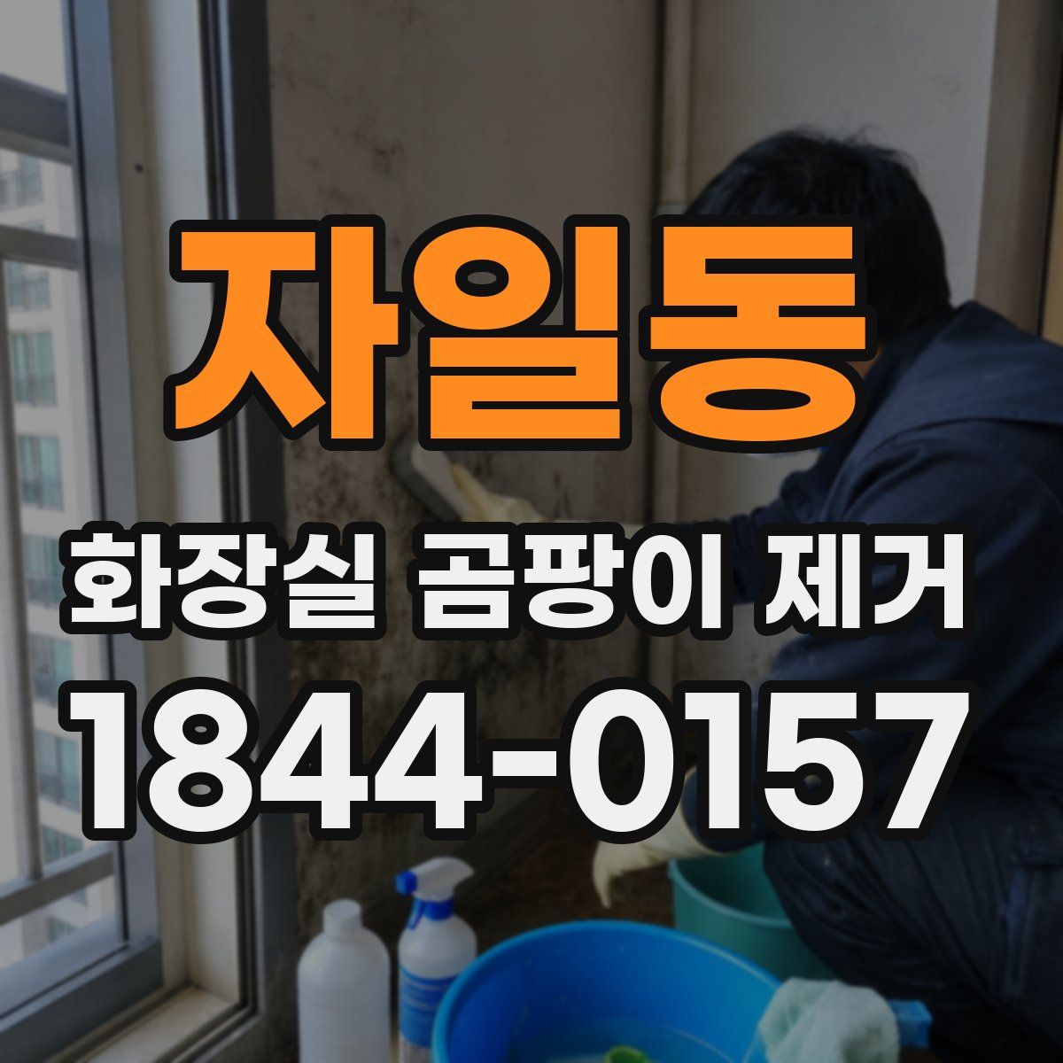 자일동 화장실 곰팡이 제거
