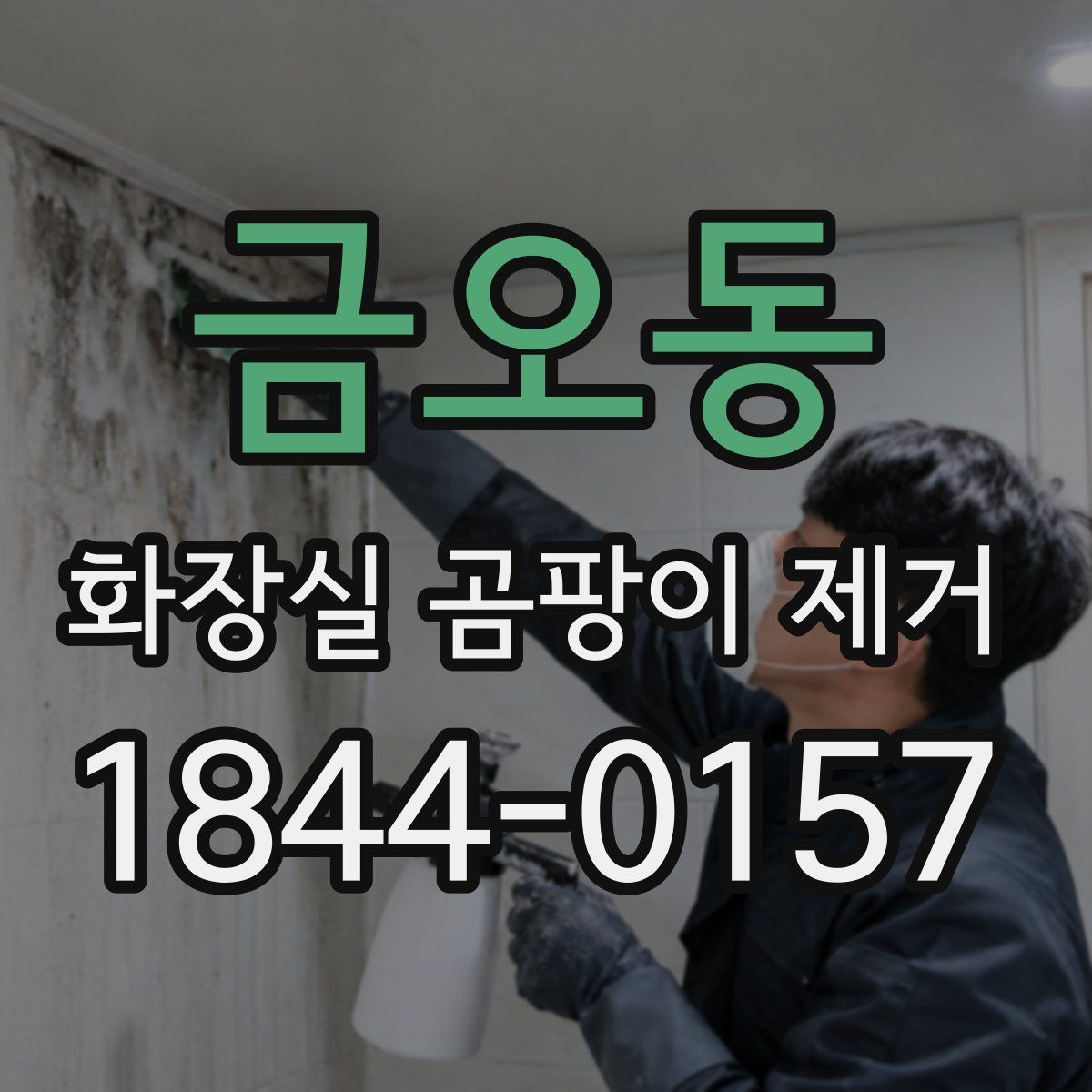 금오동 화장실 곰팡이 제거