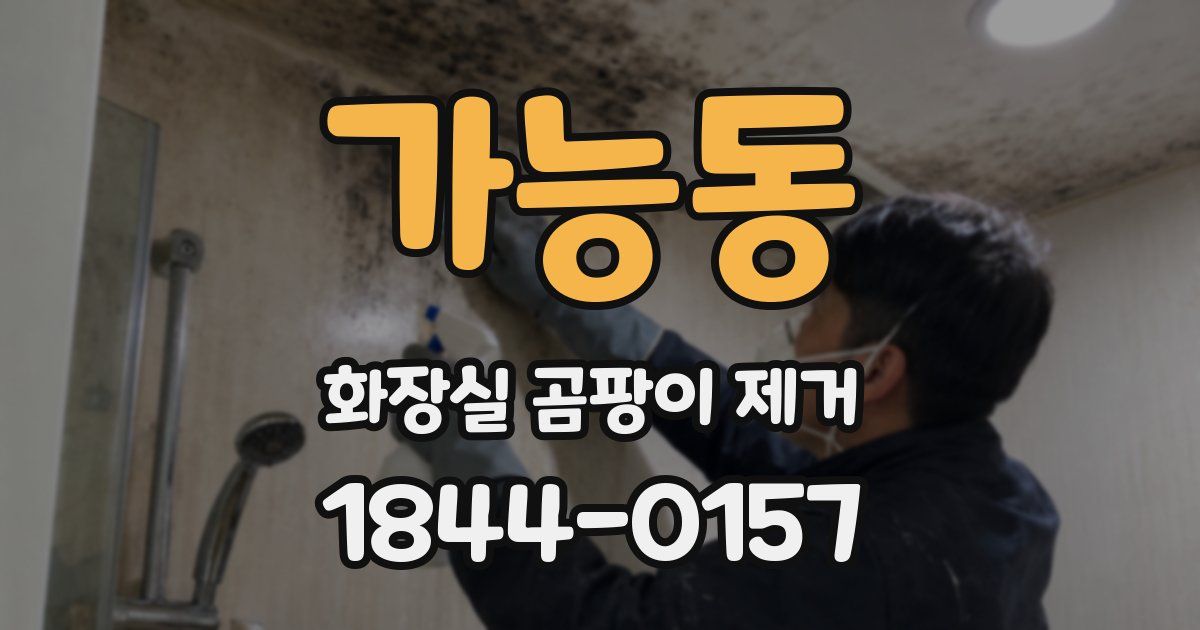 가능동 화장실 곰팡이 제거