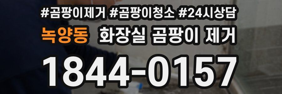 녹양동 화장실 곰팡이 제거