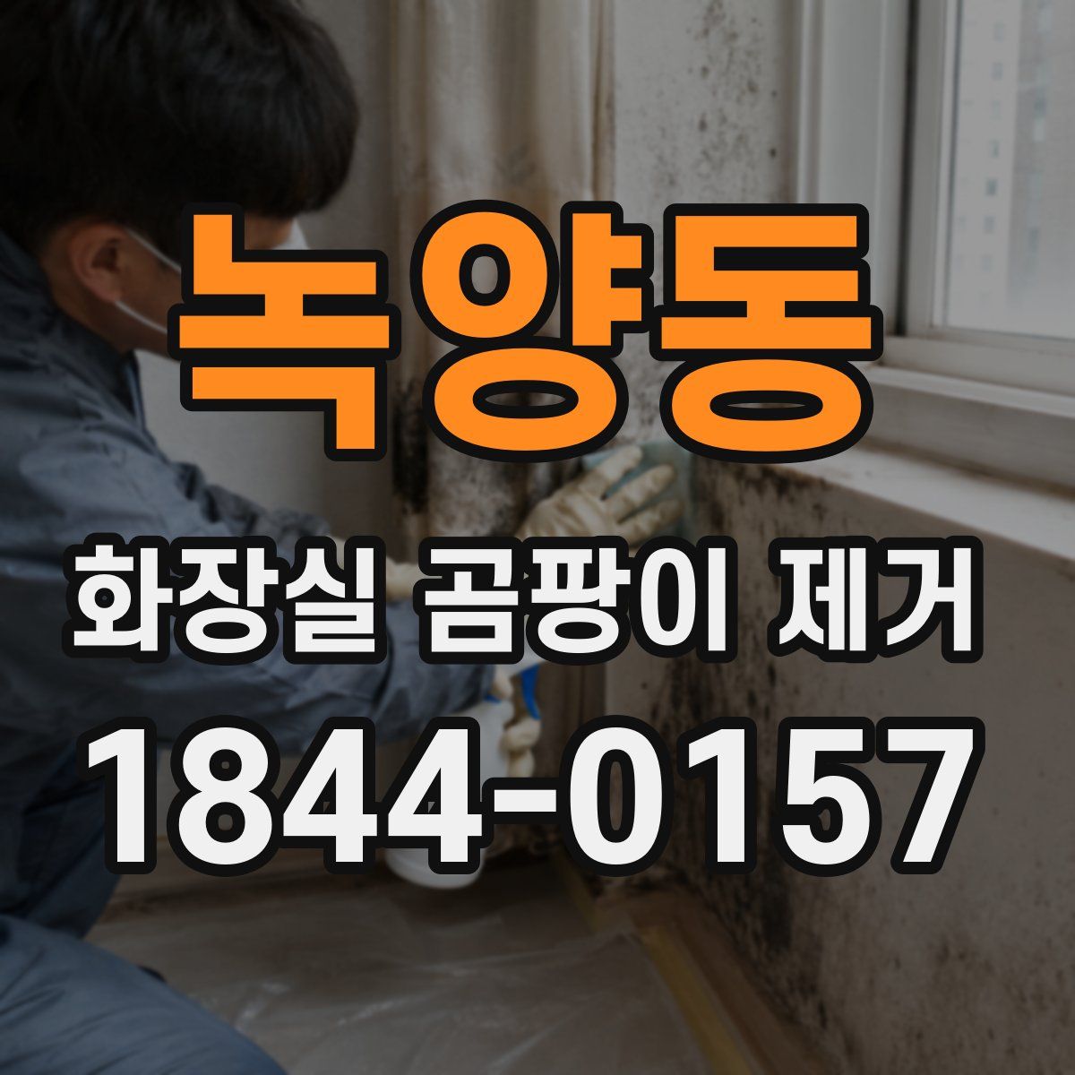 녹양동 화장실 곰팡이 제거
