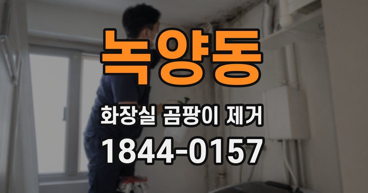 녹양동 화장실 곰팡이 제거