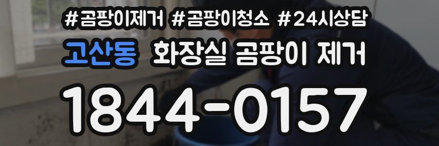 고산동 화장실 곰팡이 제거