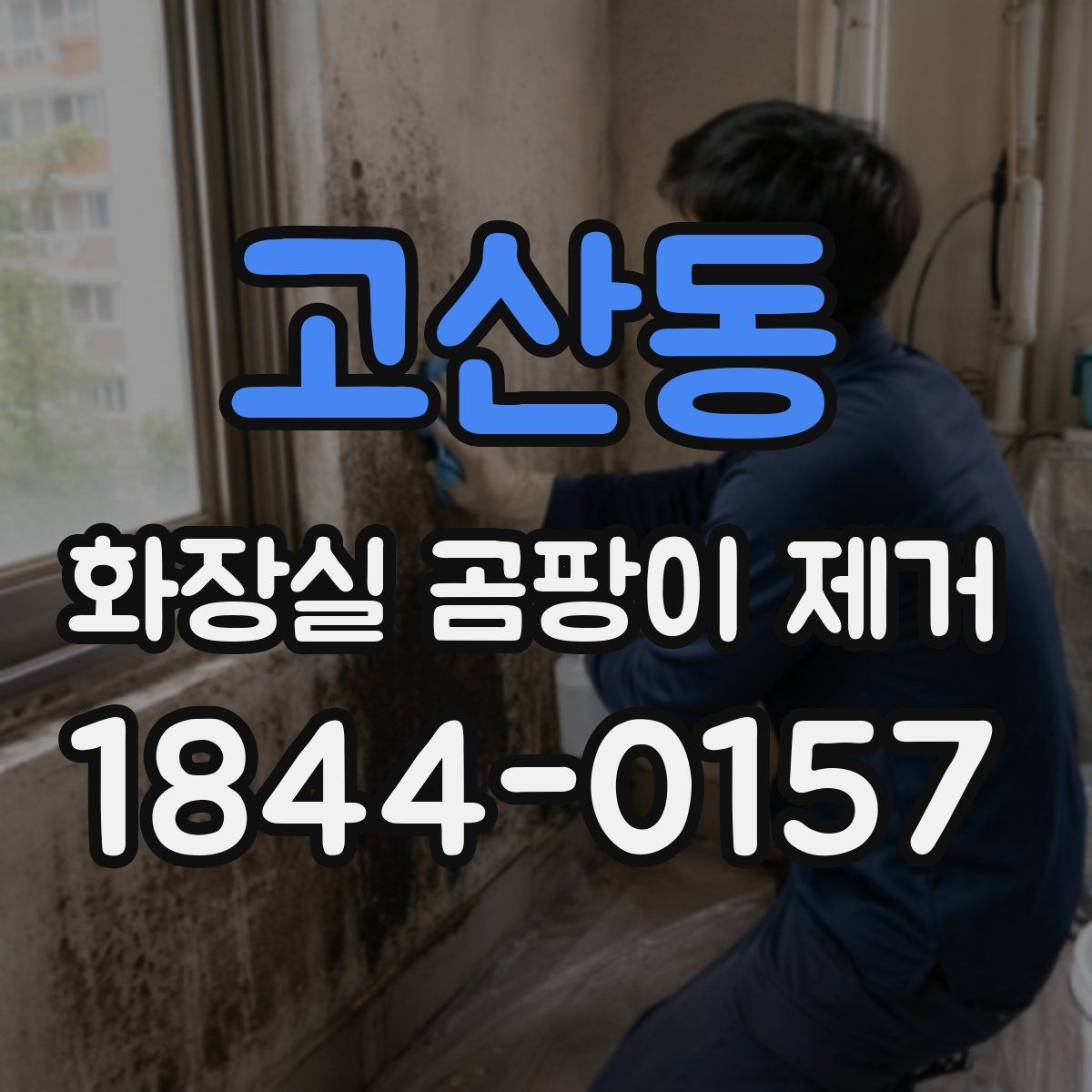 고산동 화장실 곰팡이 제거