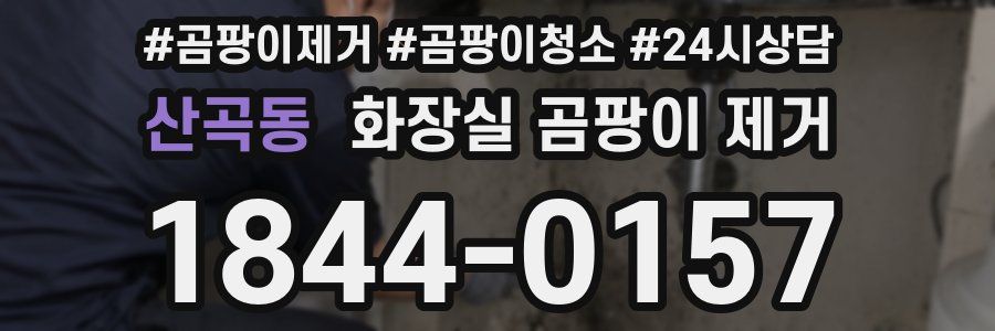 산곡동 화장실 곰팡이 제거