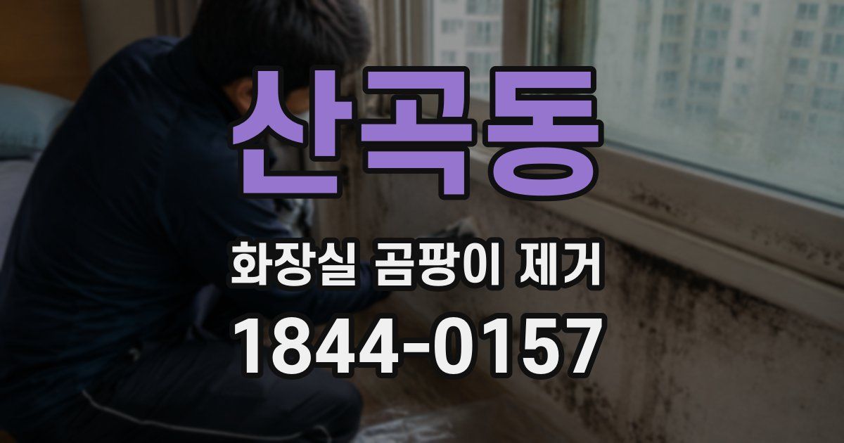 산곡동 화장실 곰팡이 제거