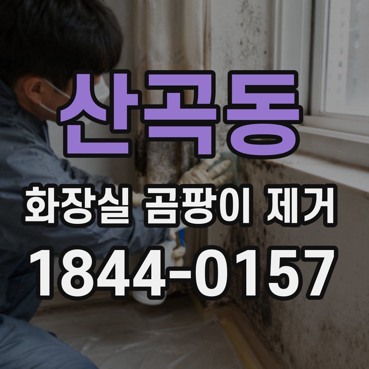 산곡동 화장실 곰팡이 제거