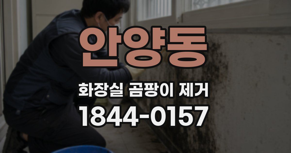 안양동 화장실 곰팡이 제거