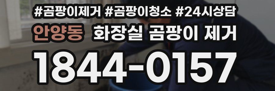 안양동 화장실 곰팡이 제거