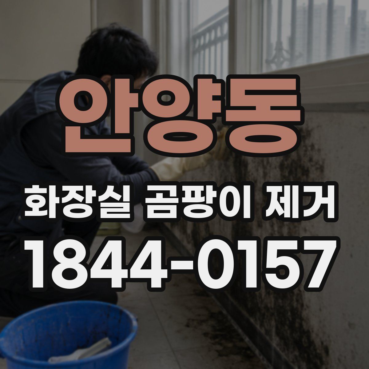 안양동 화장실 곰팡이 제거