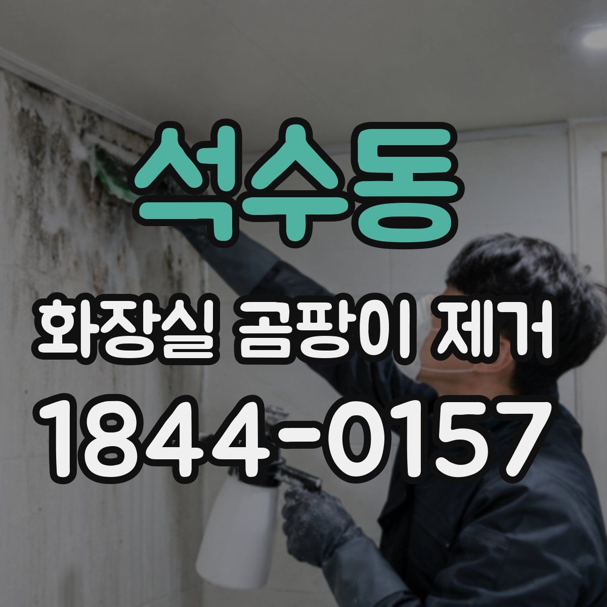 석수동 화장실 곰팡이 제거