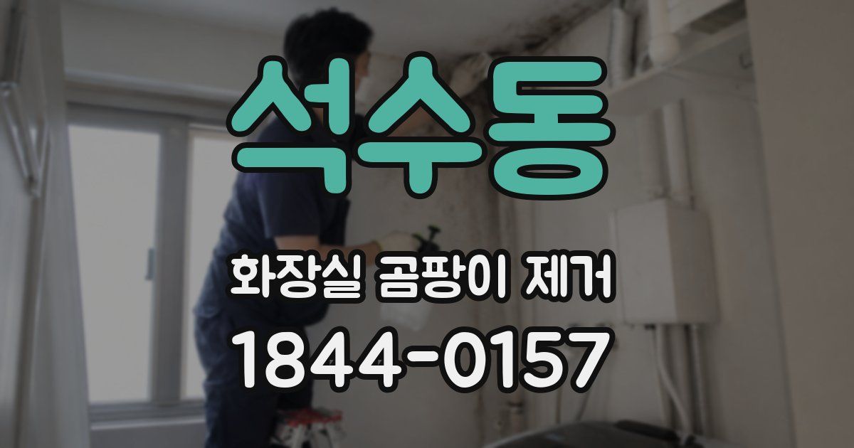 석수동 화장실 곰팡이 제거