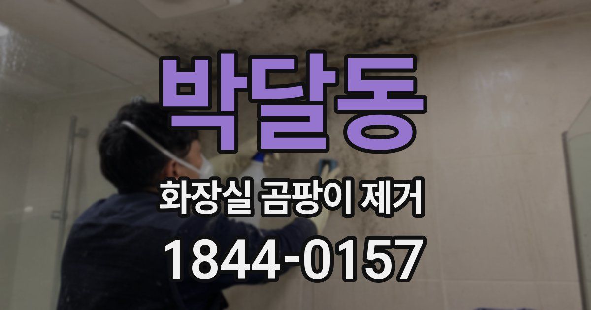 박달동 화장실 곰팡이 제거