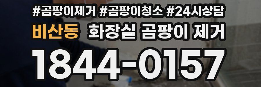 비산동 화장실 곰팡이 제거