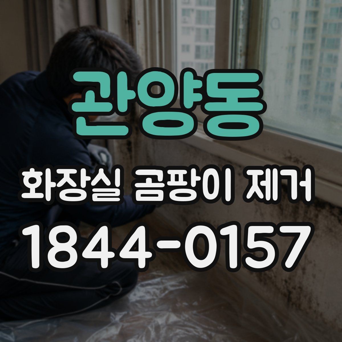 관양동 화장실 곰팡이 제거 냄새까지 같이 잡으려면 살펴야 할 부분