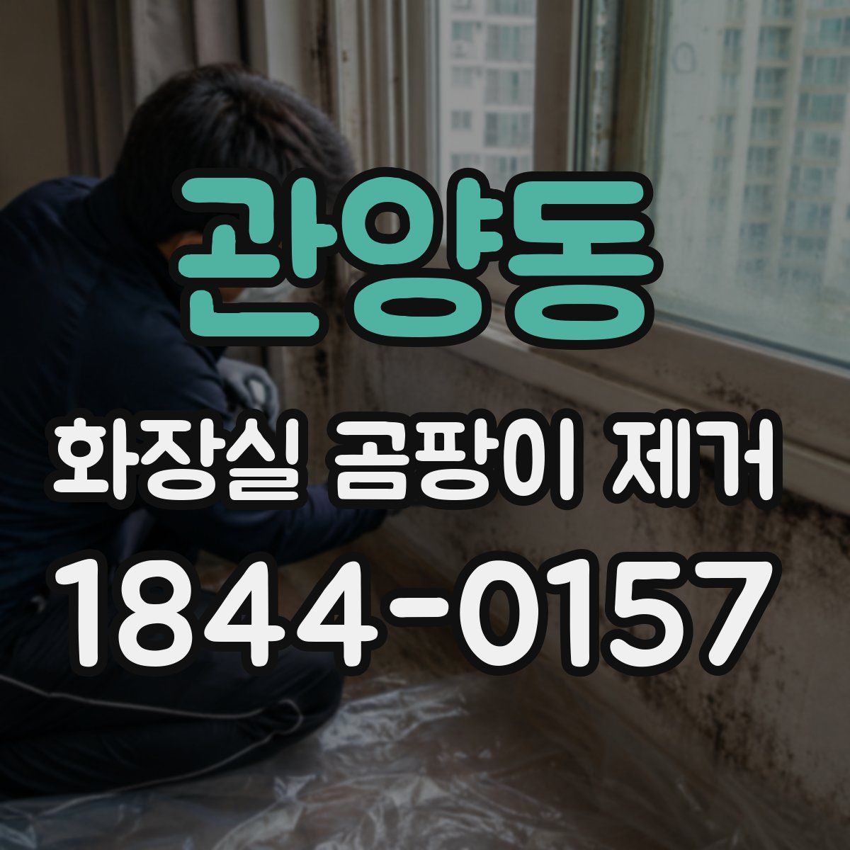 관양동 화장실 곰팡이 제거