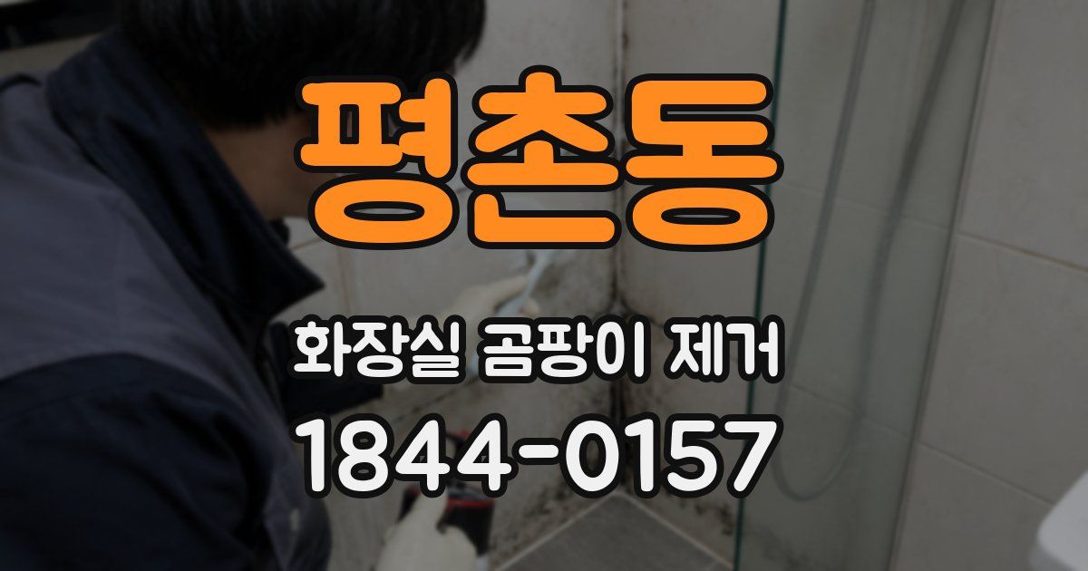 평촌동 화장실 곰팡이 제거