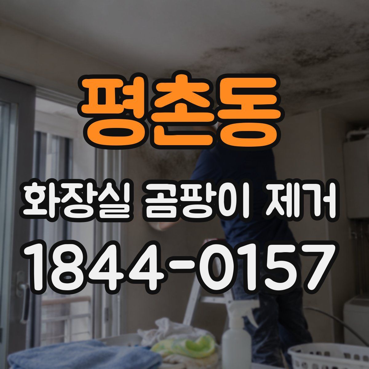평촌동 화장실 곰팡이 제거