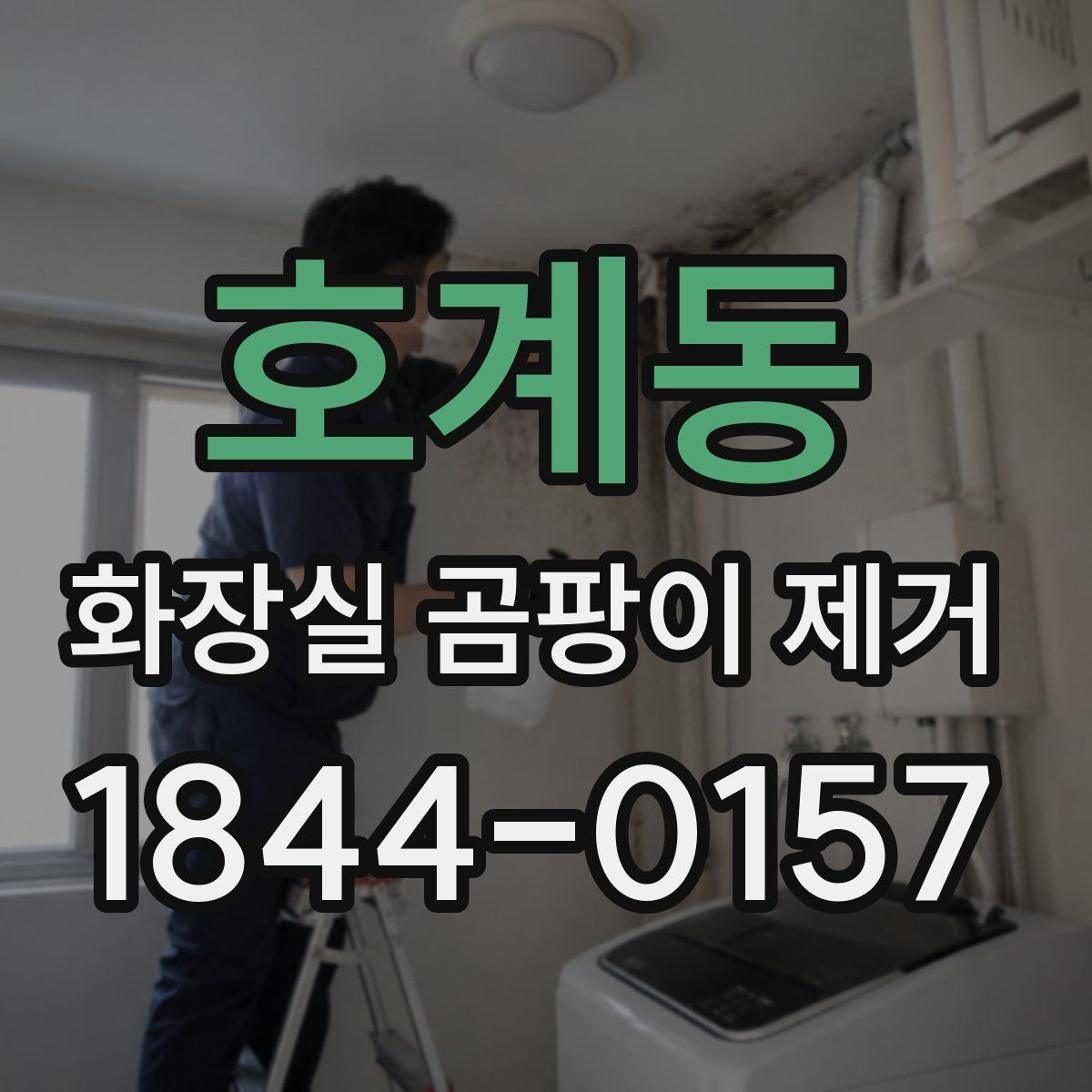 호계동 화장실 곰팡이 제거