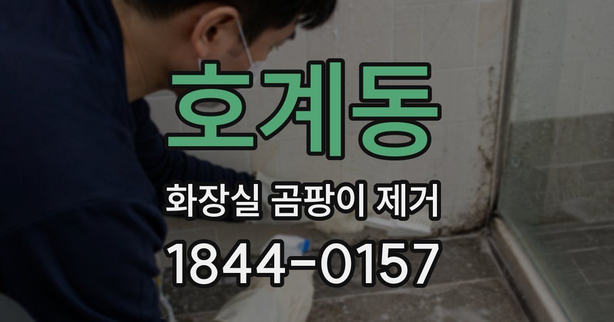 호계동 화장실 곰팡이 제거