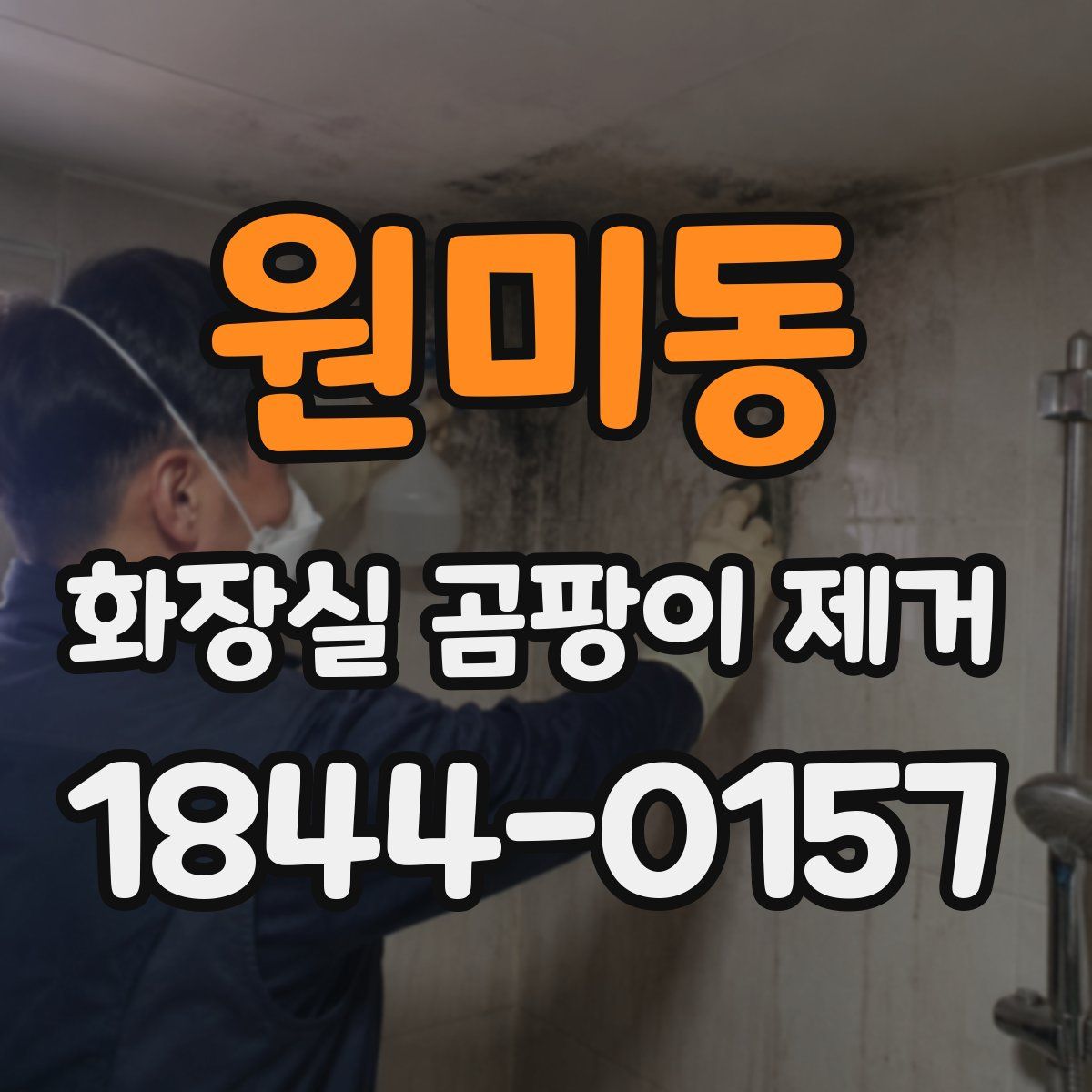 원미동 화장실 곰팡이 제거