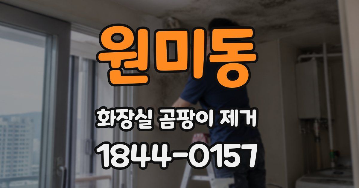 원미동 화장실 곰팡이 제거