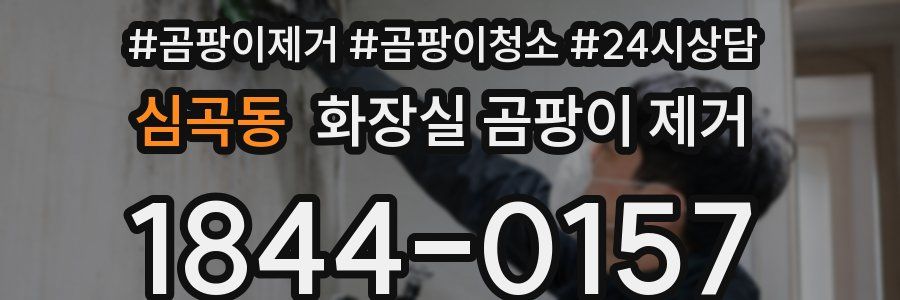 심곡동 화장실 곰팡이 제거