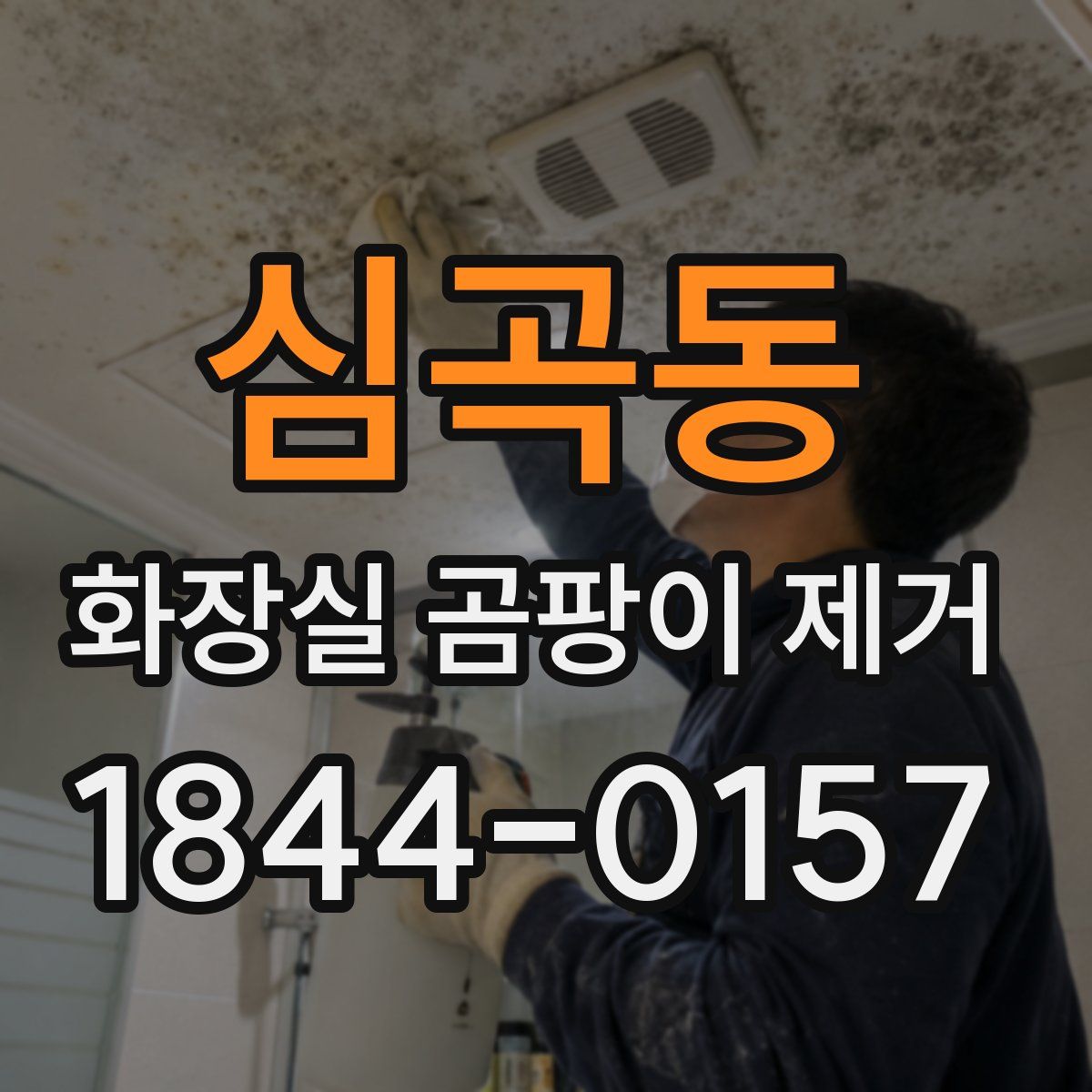 심곡동 화장실 곰팡이 제거