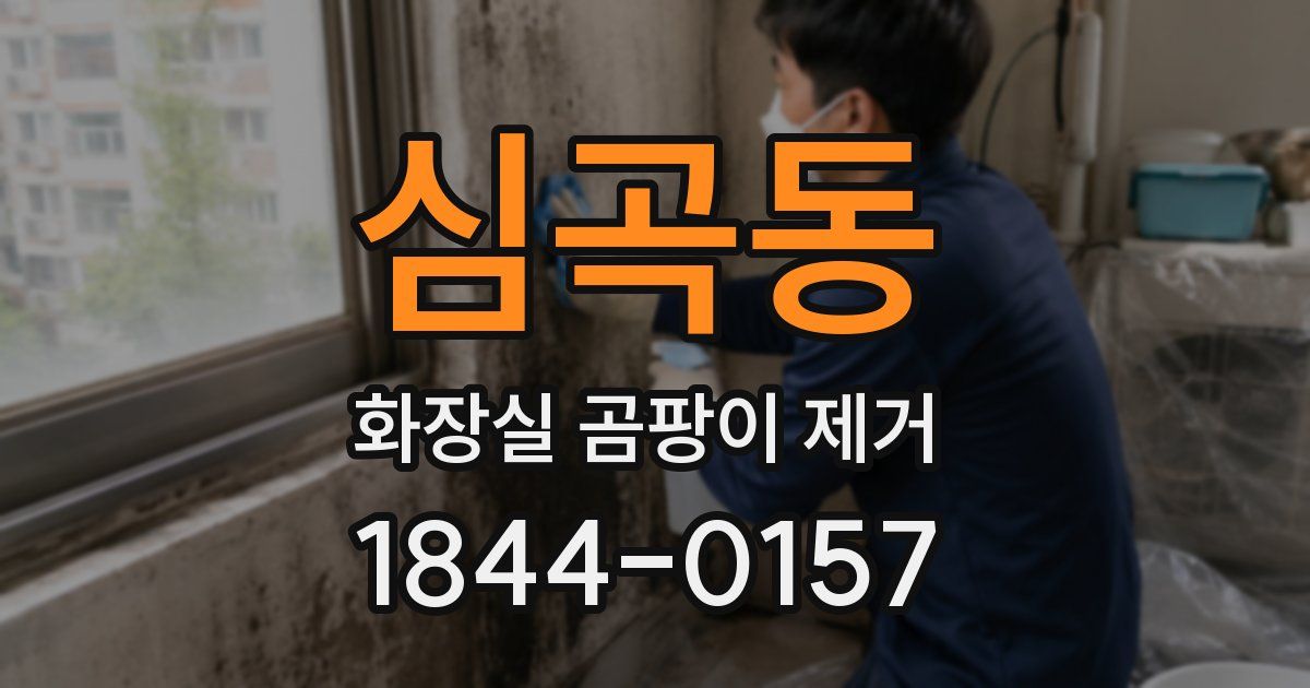심곡동 화장실 곰팡이 제거